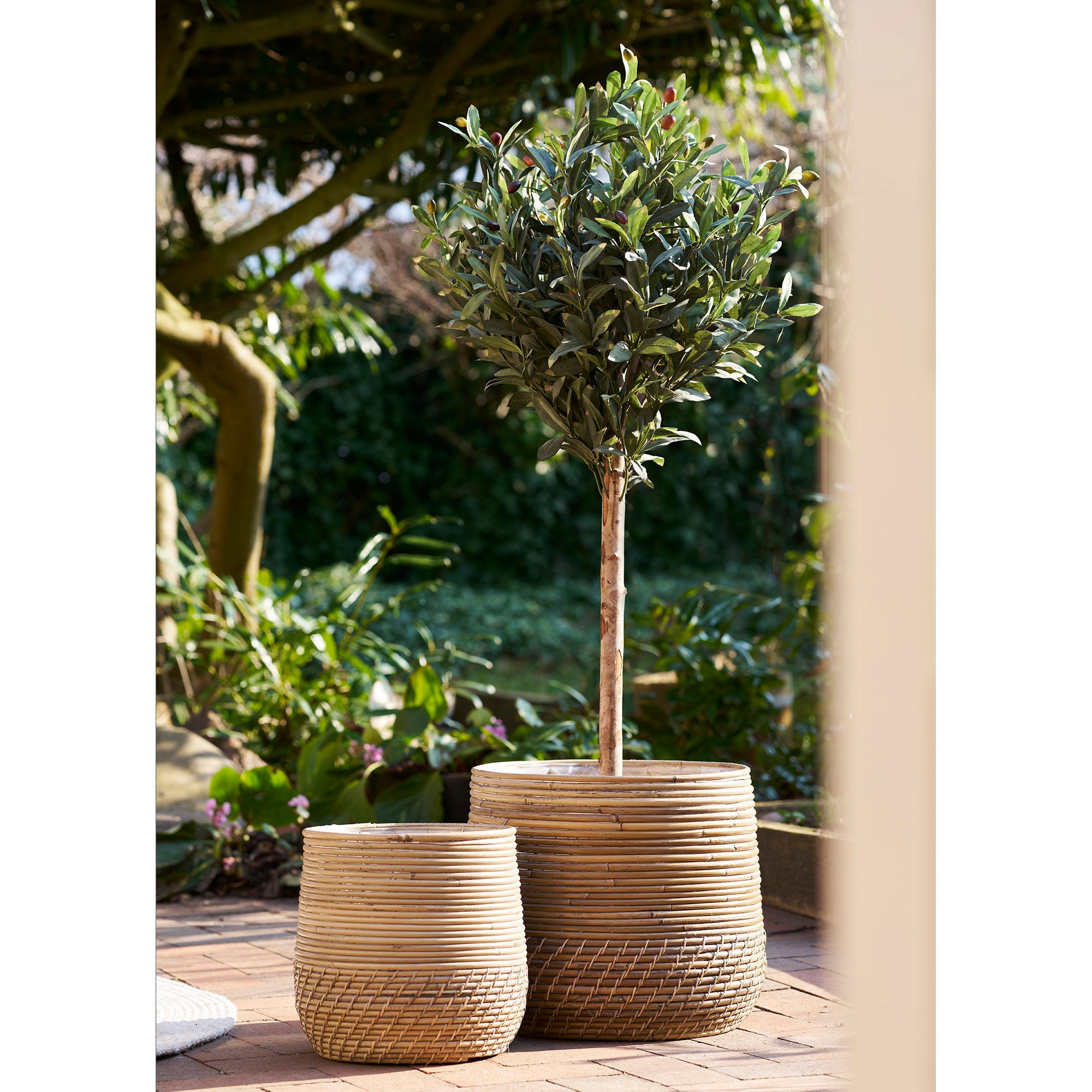 Moro Baskets