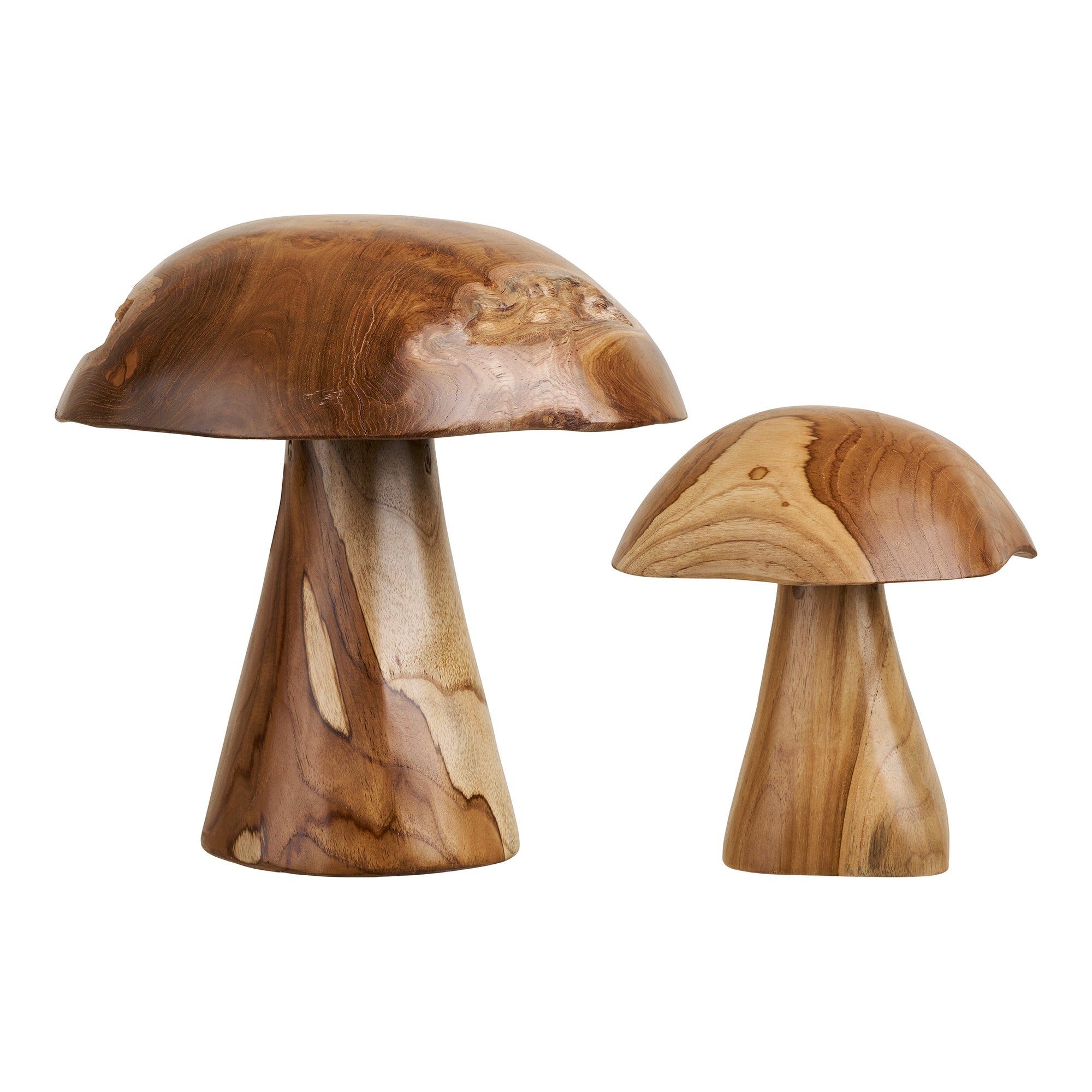 Kodi Decoration Mushrooms