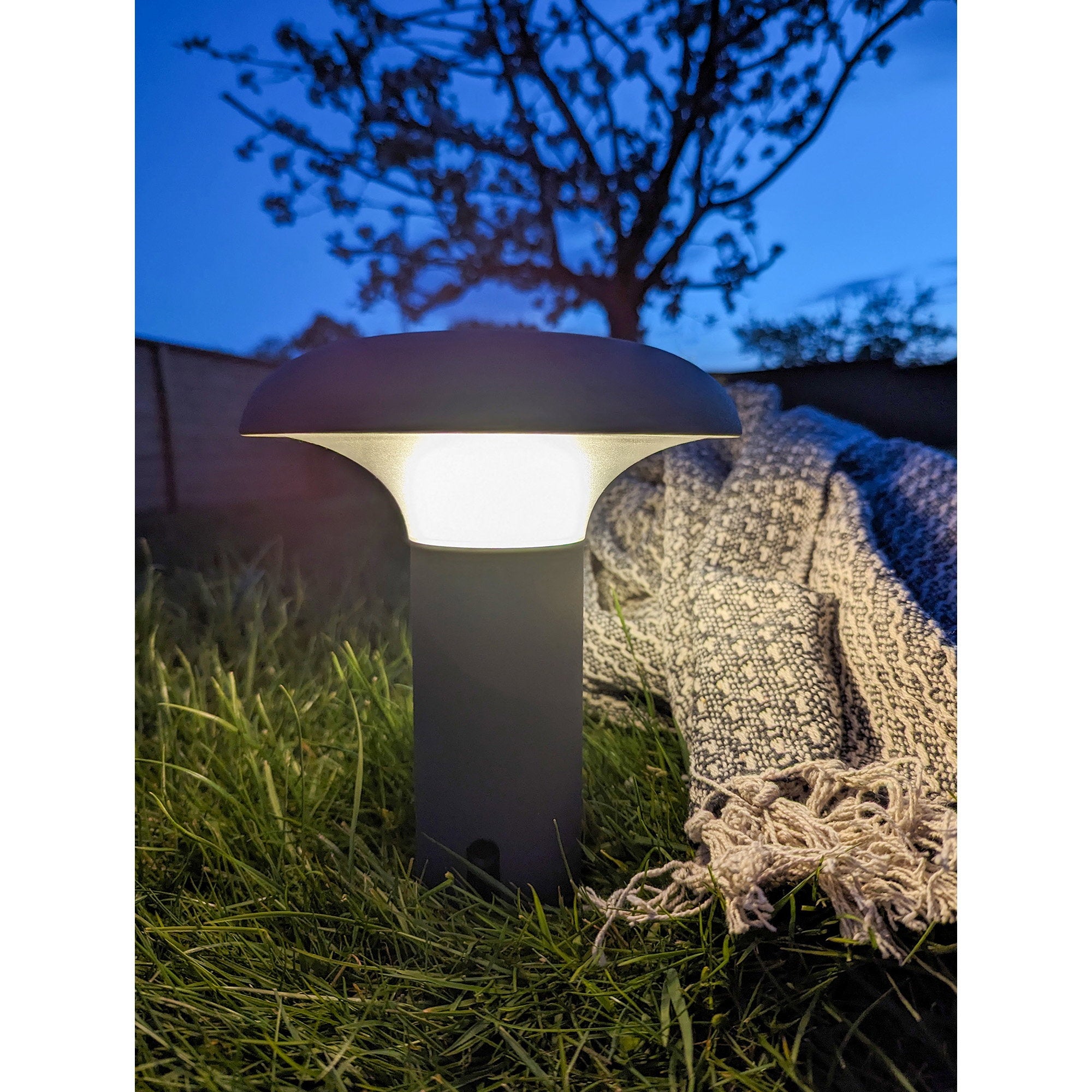 Ramsey LED Lamp