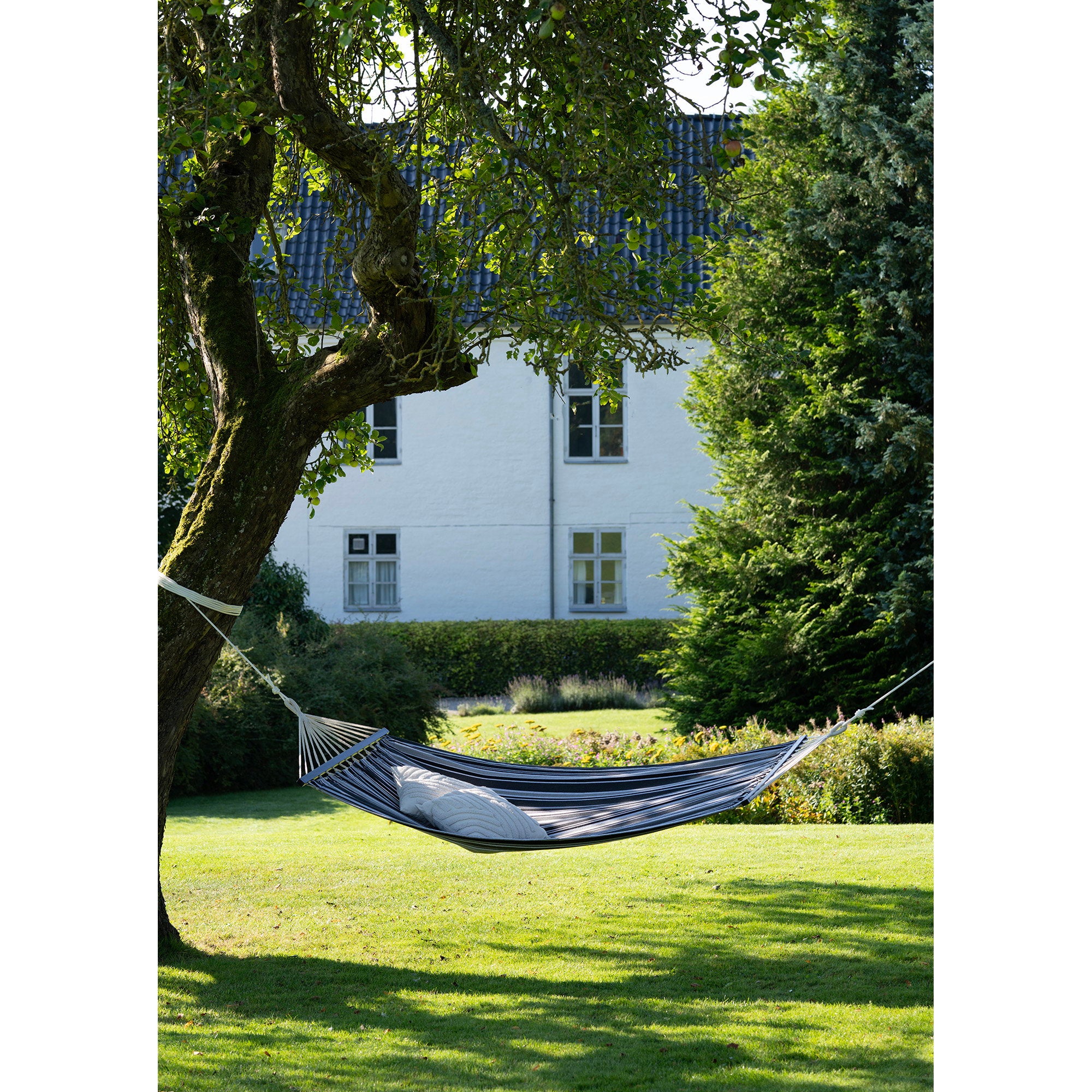 Lamia Hammock
