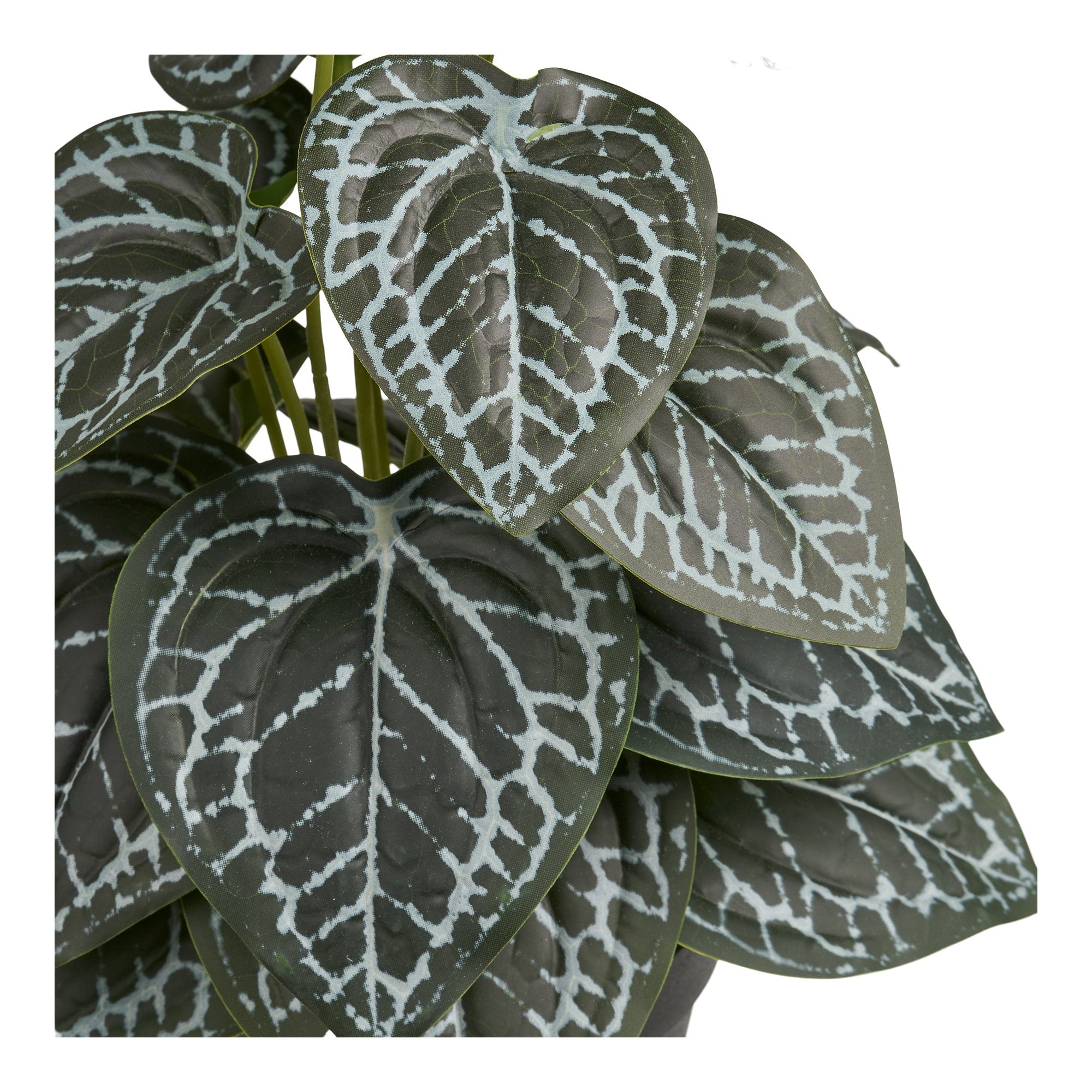 Artificial Plant