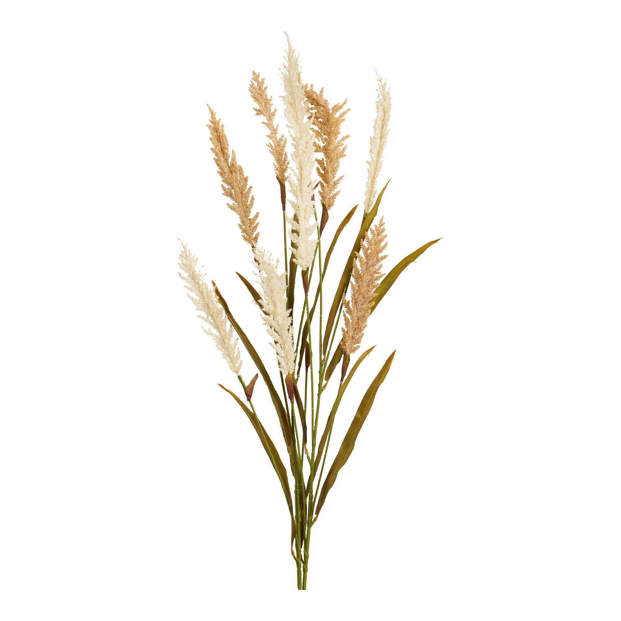 Decorative Grass