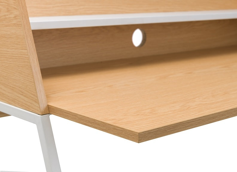 Palmer Desk Workarea