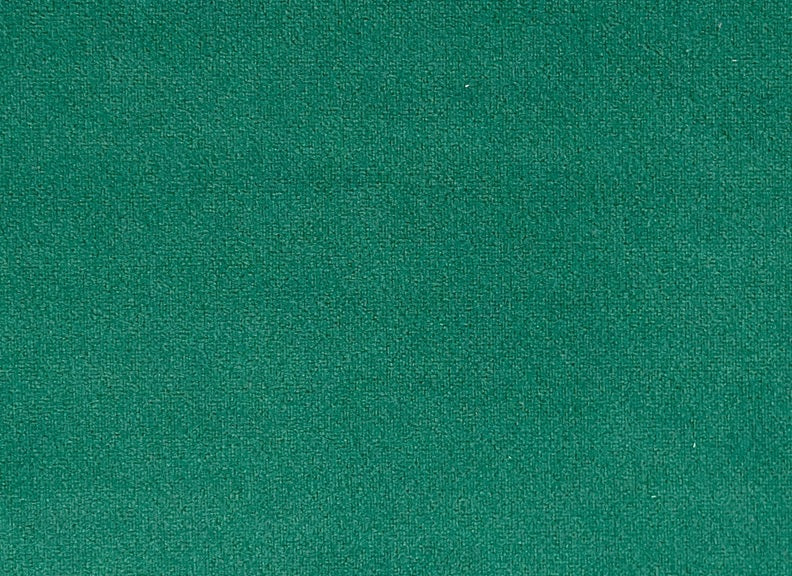 Plush Forrest Green