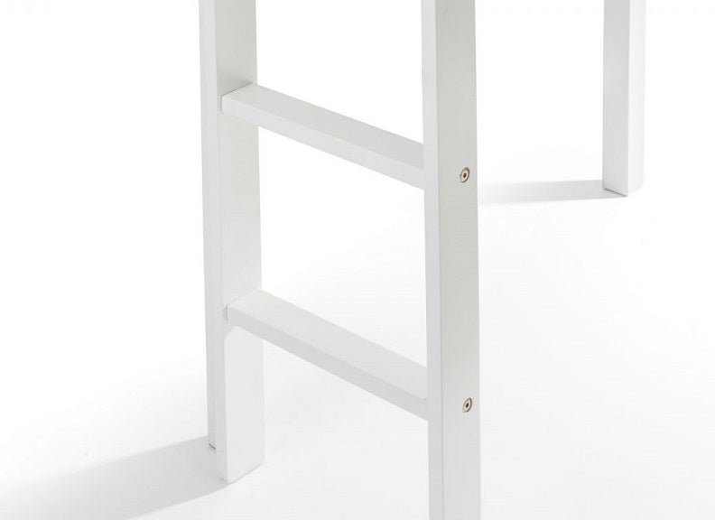 Titan Access Ladder - detail