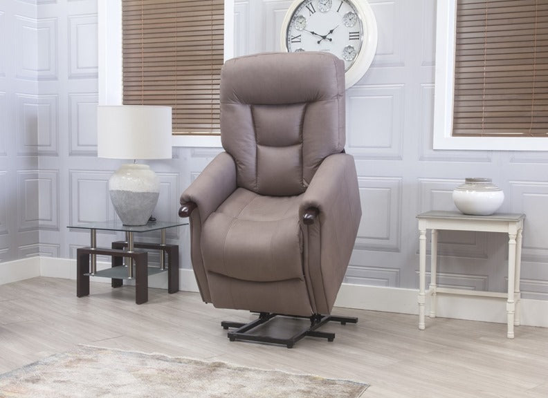 Windsor Elephant Lift & Rise Chair - 1