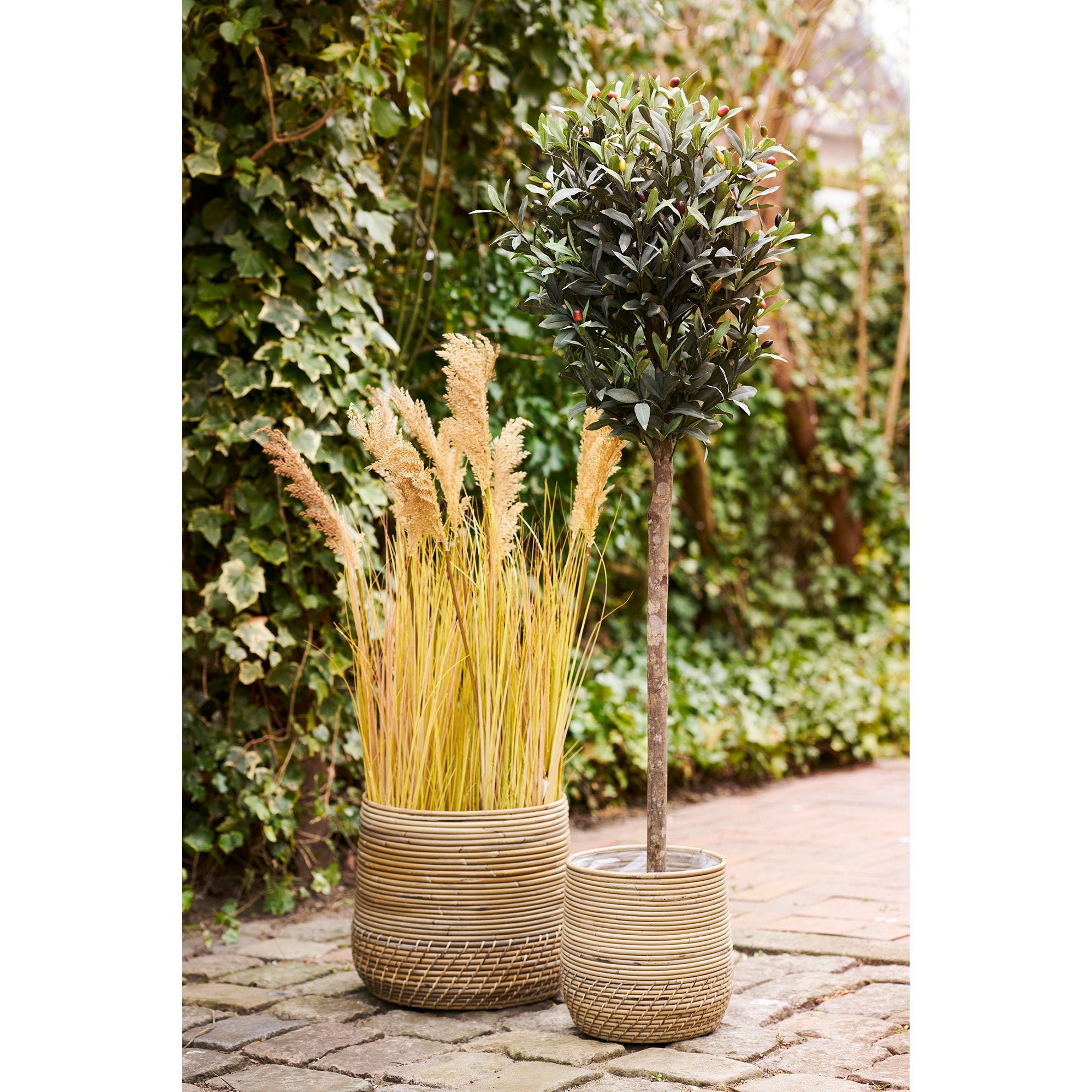 Moro Baskets