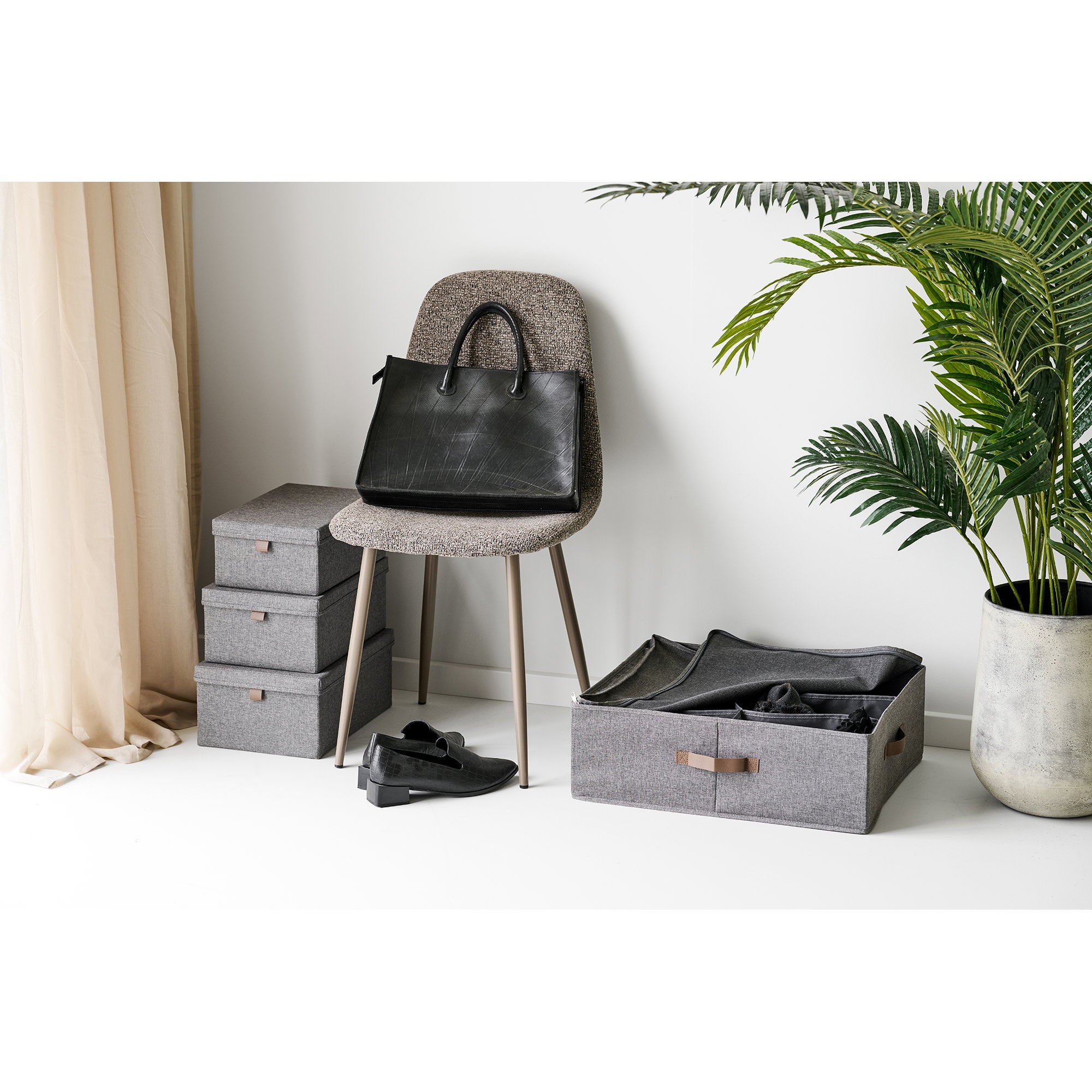 Noto Organizer