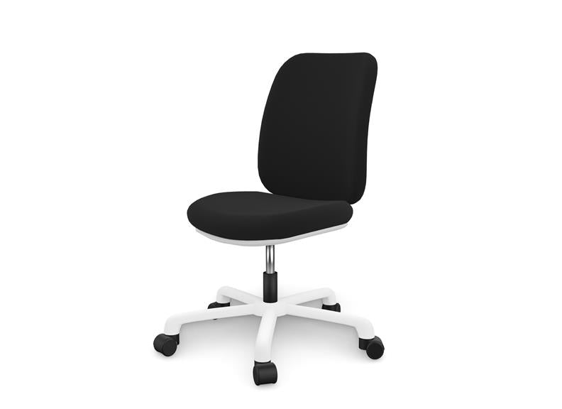 Lifetime Comfort Office Chair