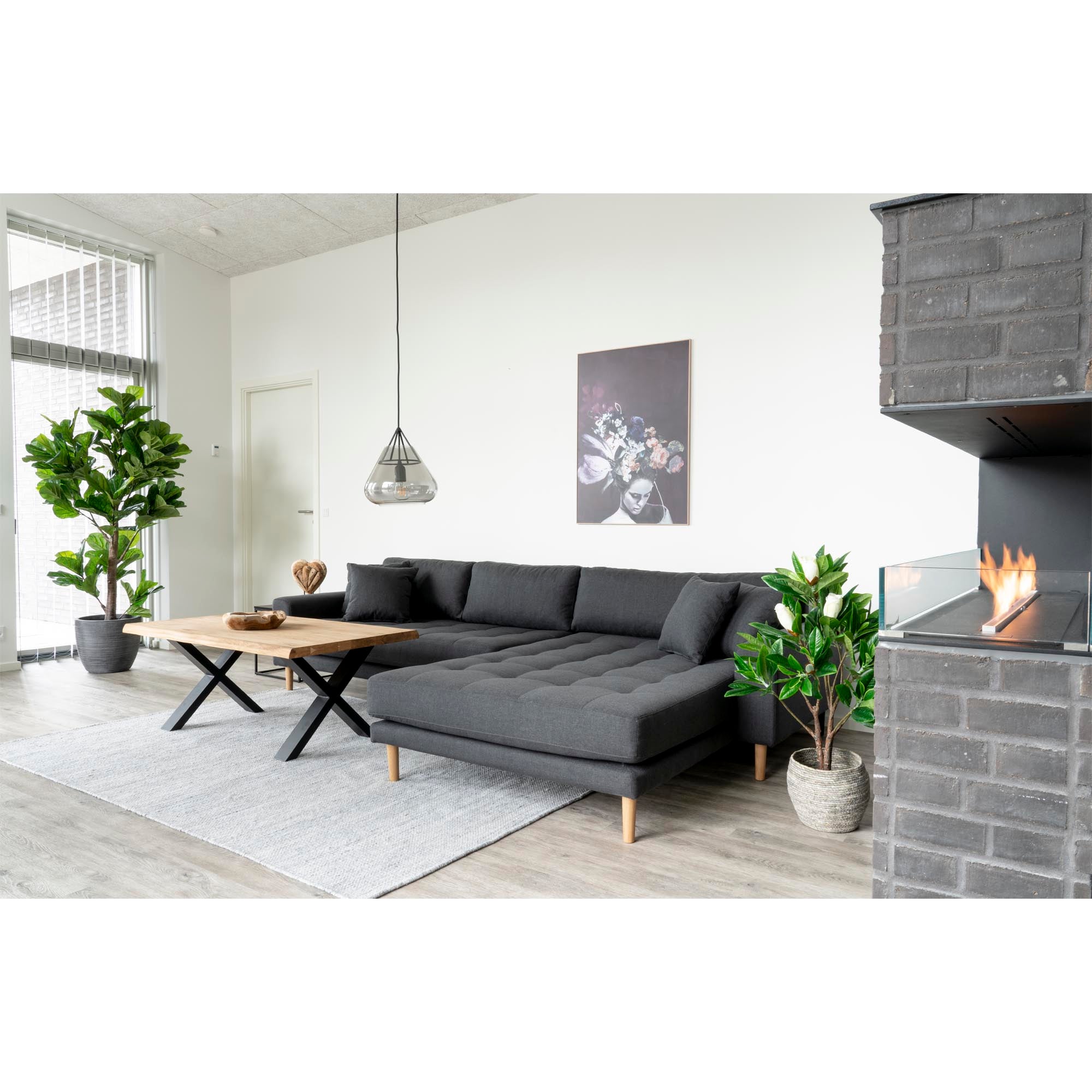 Fiddle Leaf Tree