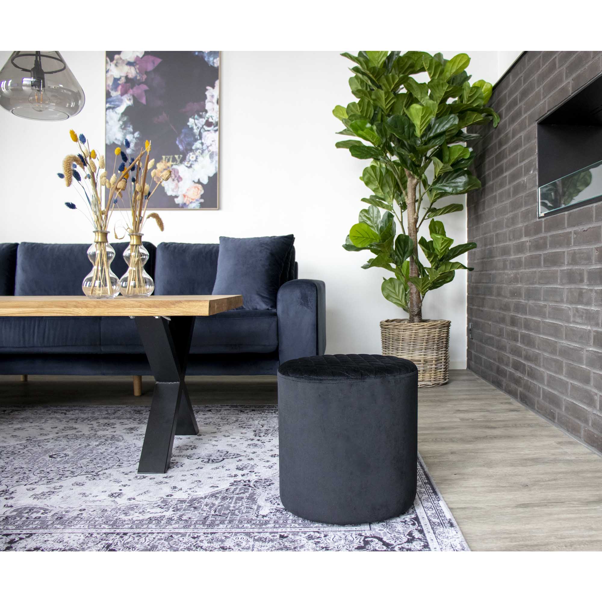 Fiddle Leaf Tree