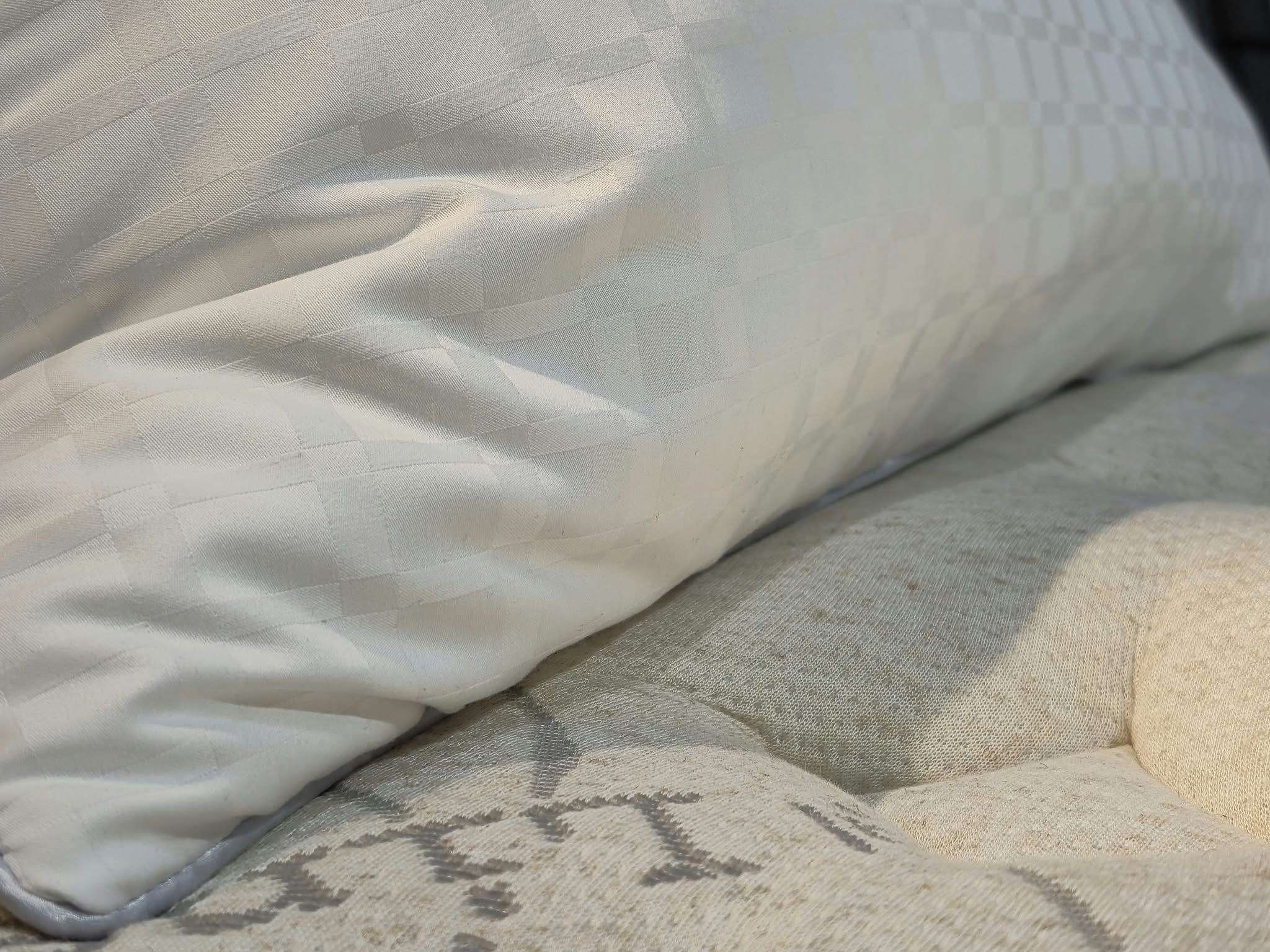 Faith & Ethan Hotel Royal Twin Pack Pillows
