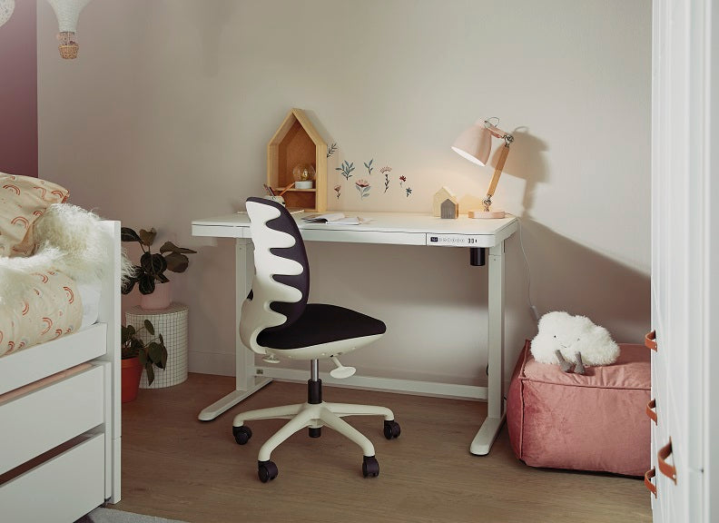 Lifetime Desk & Comfort Chair