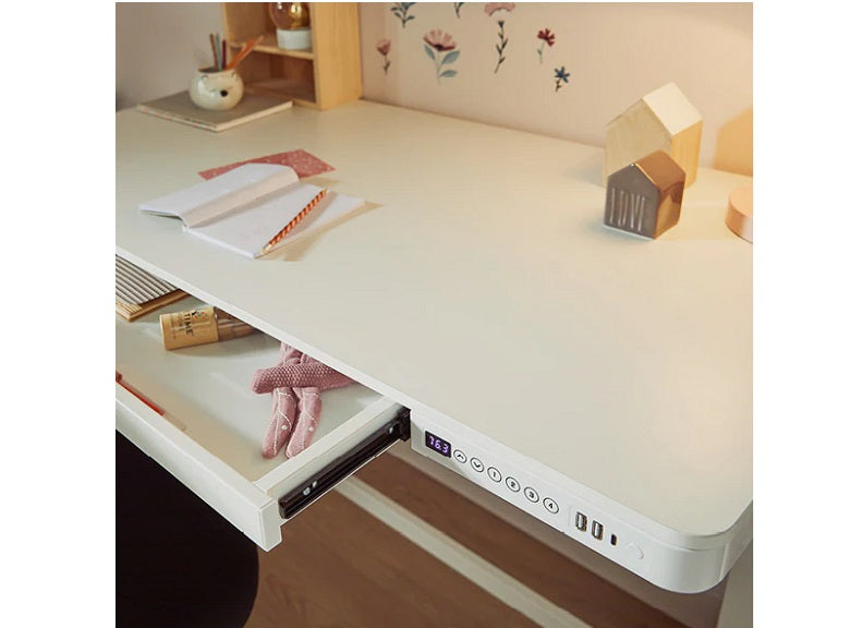 Lifetime Adjustable Tilt Rise Desk