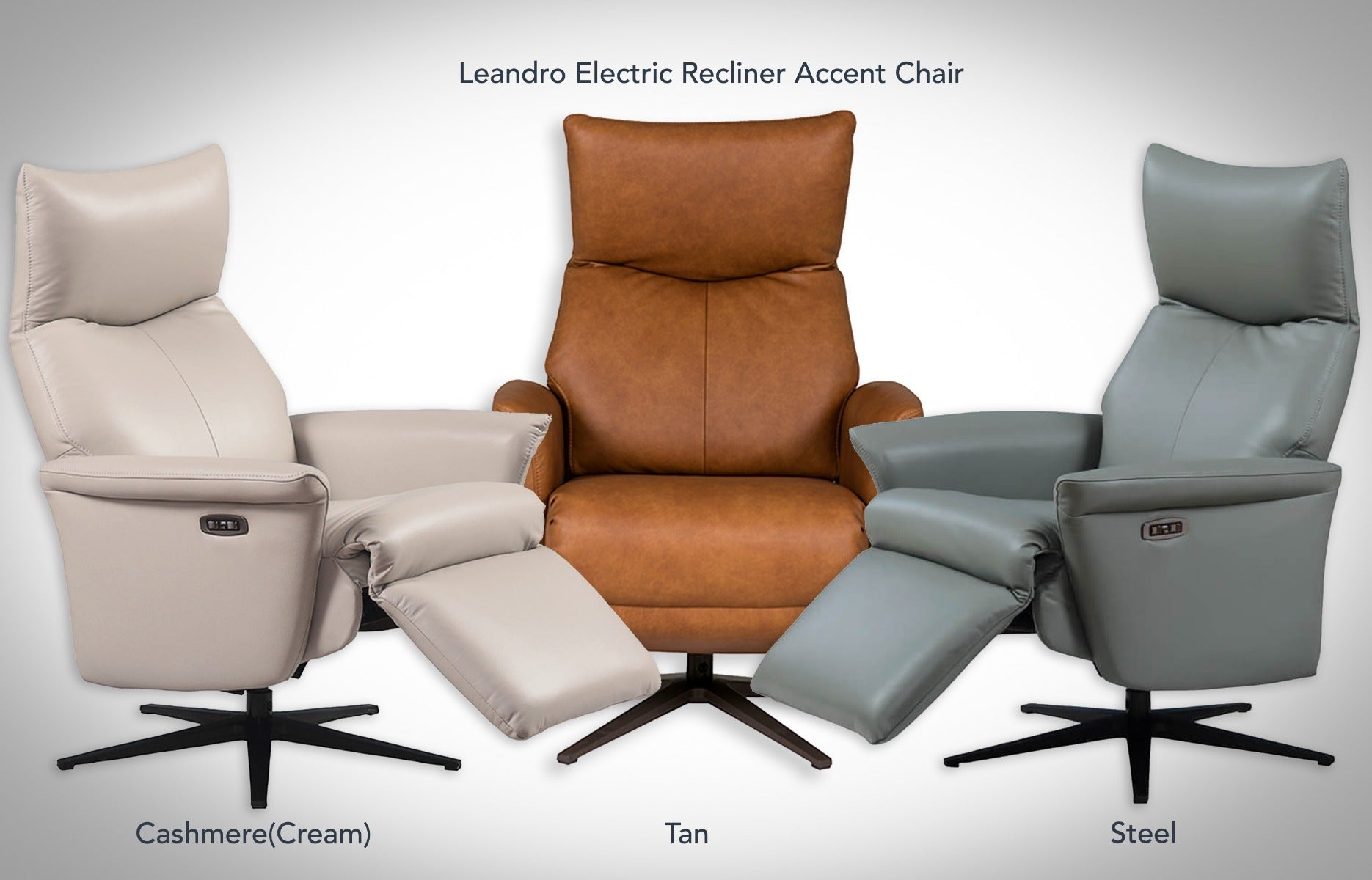 Leandro Electric Reclining Accent Chair