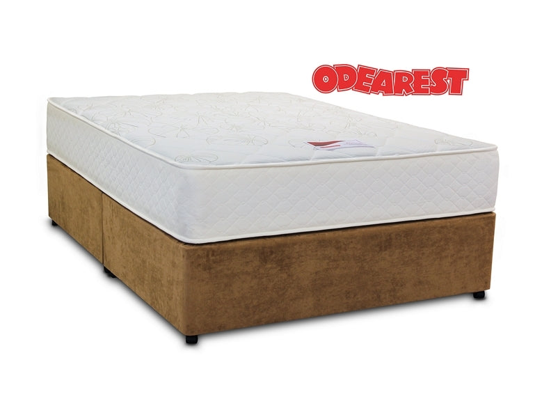 Odearest Primrose