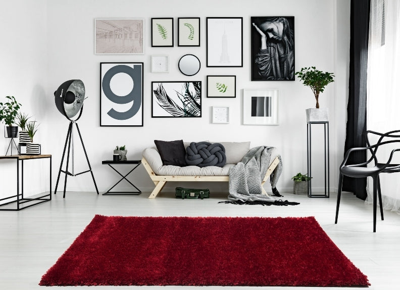 Ottova Red Mat Room