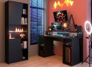 Gaming Bookcase Room - 1